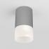 Уличный потолочный светильник Light LED 2106 IP54 35139/H серый